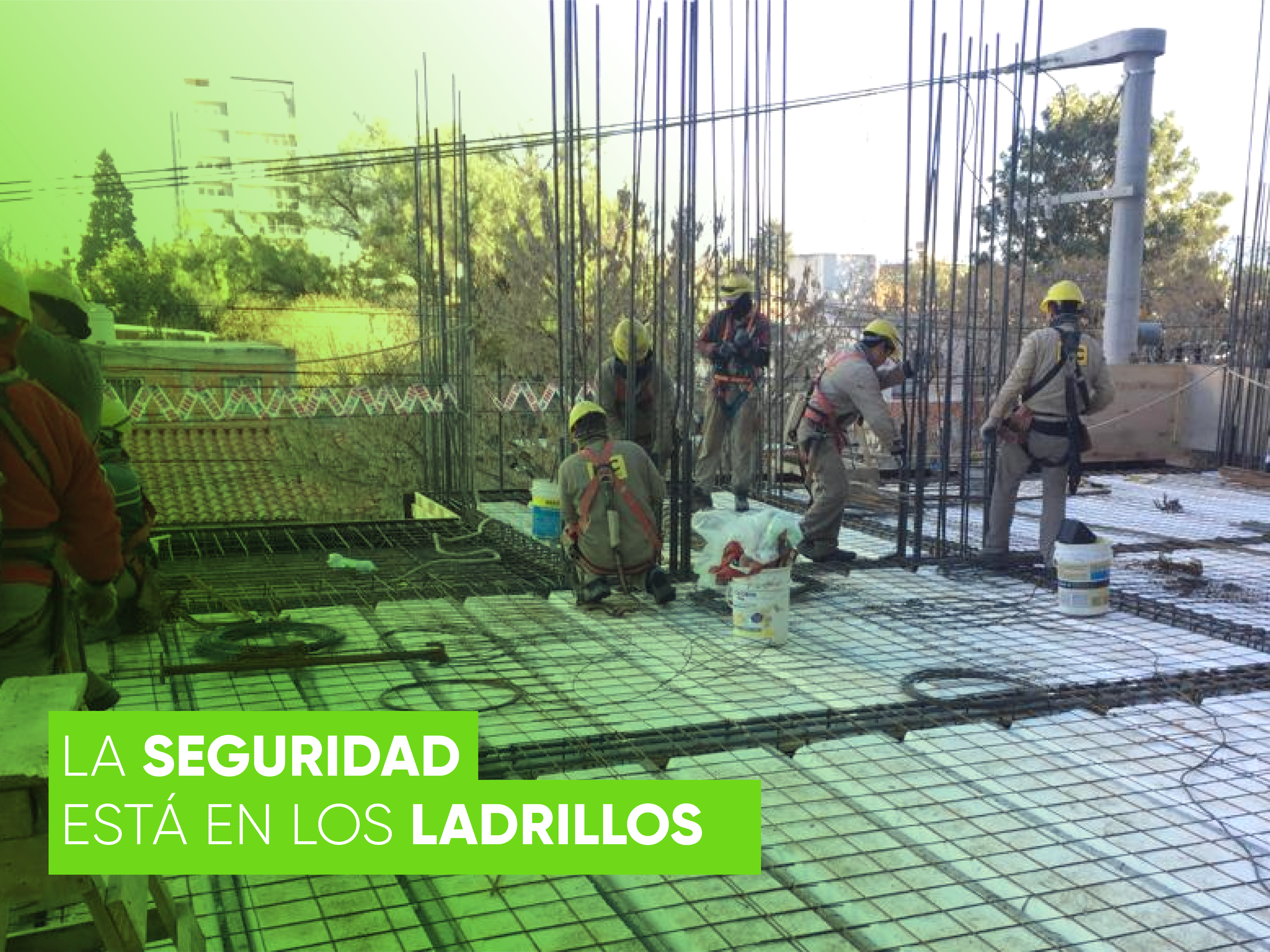 Proyecto